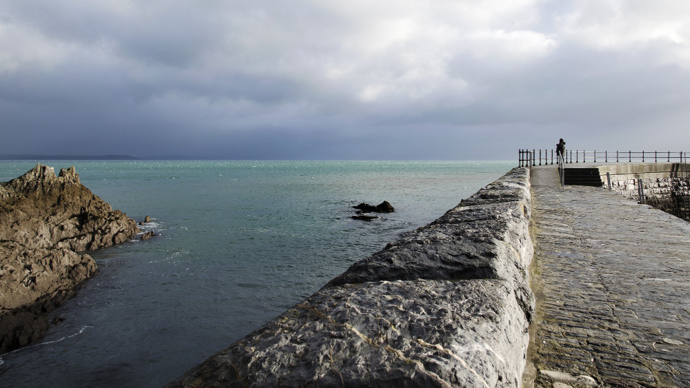 Best Seawalls in Florida: Types, Costs, Lifespan & Permits