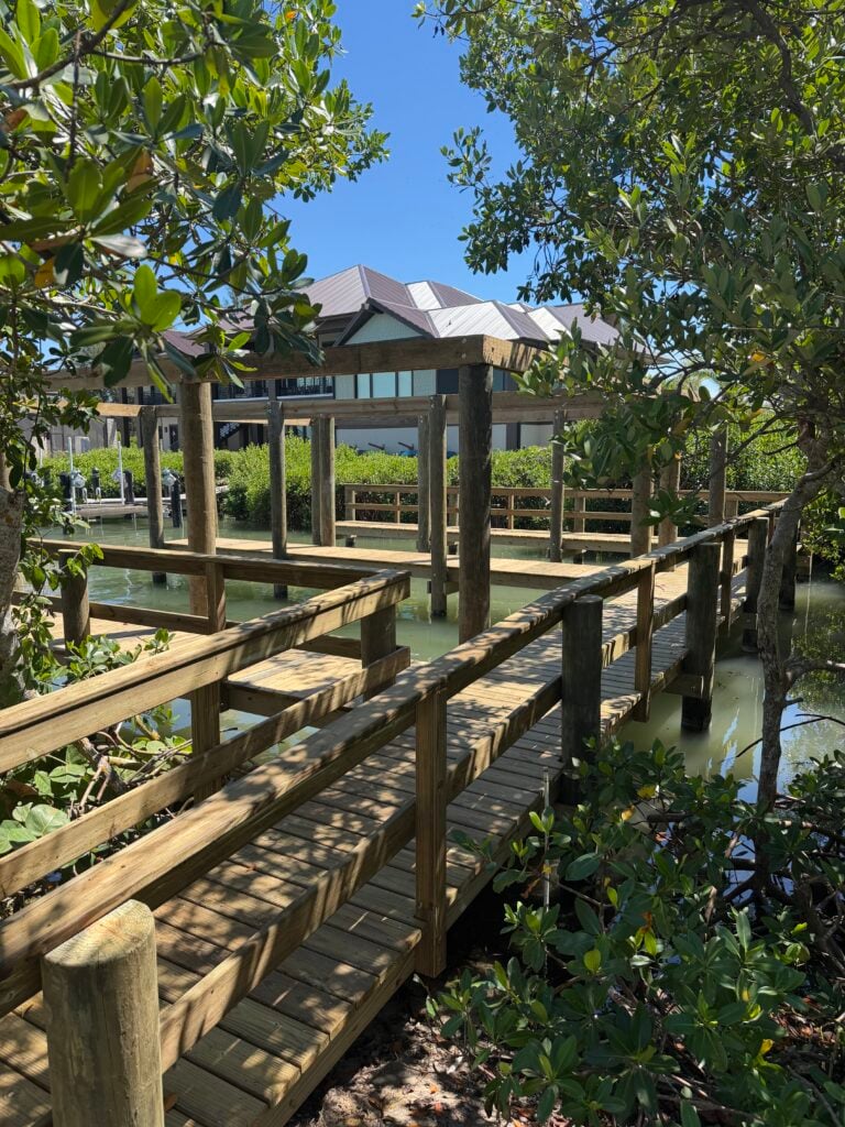 Dock
